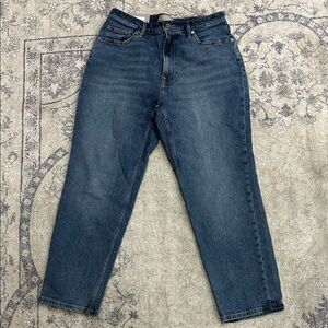 Everlane Women’s  Curvy cheeky Indigo Jeans